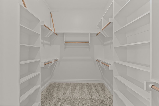 walk in closet featuring carpet floors