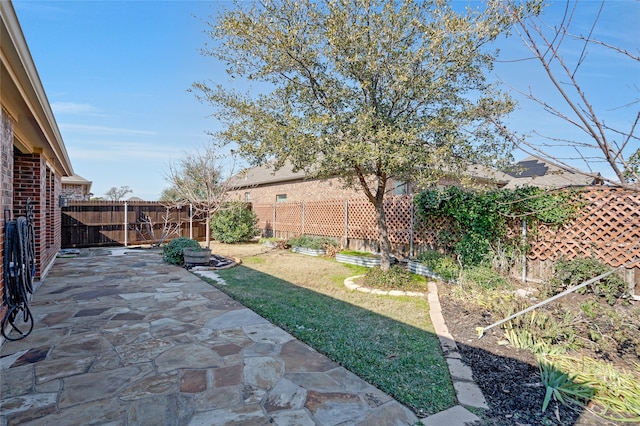 view of yard with a patio area