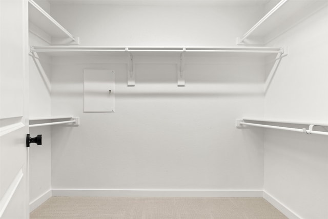 729 Tower Rd, Wylie, TX 75098 - spacious closet with carpet flooring