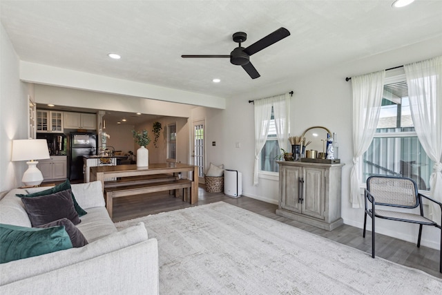 living room with wood finished floors, a healthy amount of sunlight, and recessed lighting