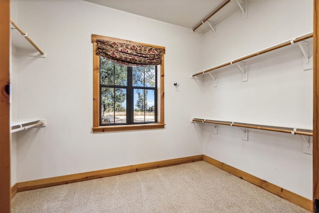 spacious closet with carpet