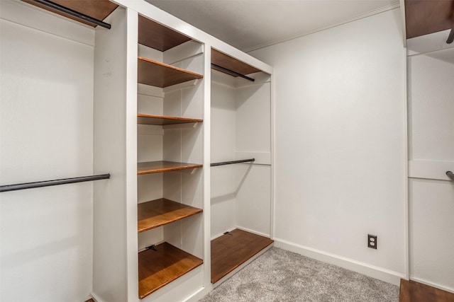 walk in closet with light colored carpet