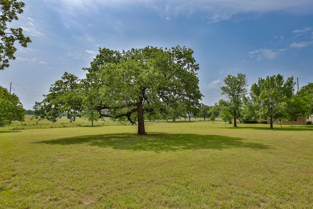 368 Hawkins Rd, Whitesboro, TX 76273 - view of grassy yard
