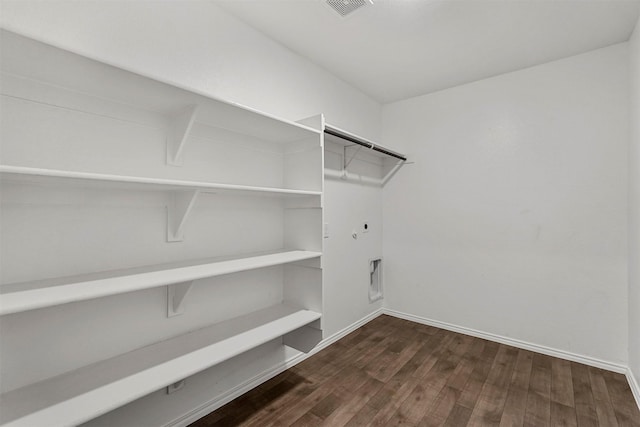 spacious closet with dark wood-type flooring