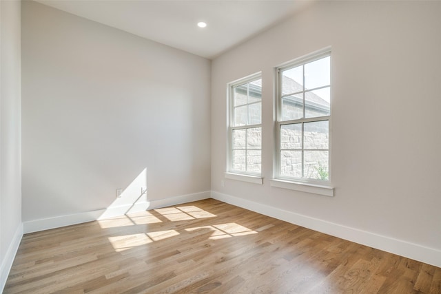 empty room featuring a wealth of natural light and light hardwood / wood-style flooring