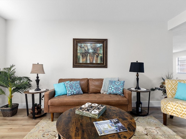 living room with light hardwood / wood-style floors