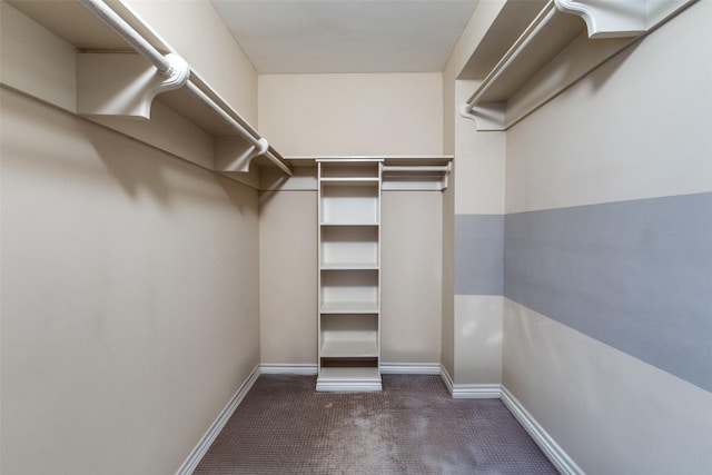 spacious closet with dark colored carpet