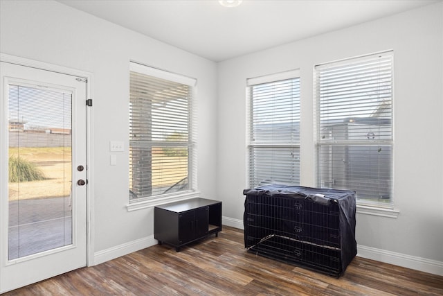 doorway to outside featuring dark hardwood / wood-style flooring