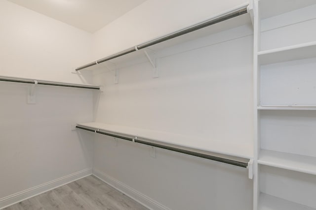 spacious closet featuring light hardwood / wood-style flooring