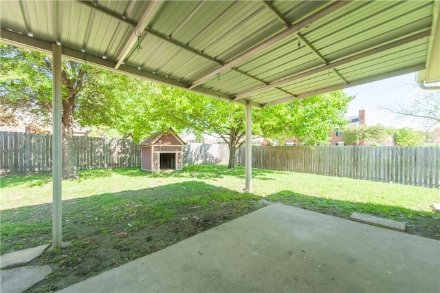 view of yard featuring a patio area and a storage unit