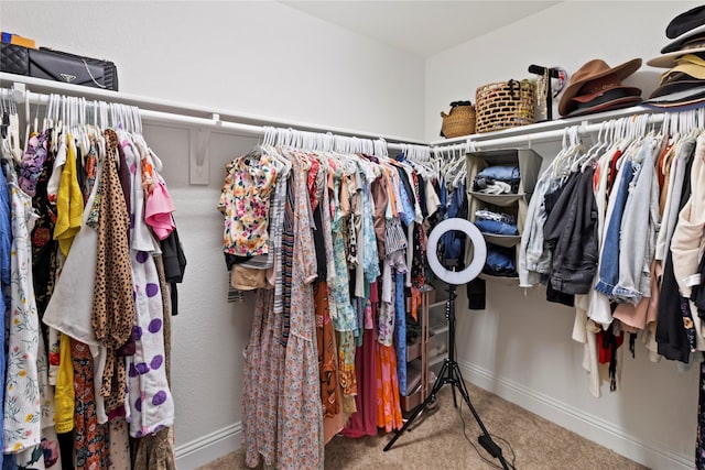 walk in closet with carpet flooring