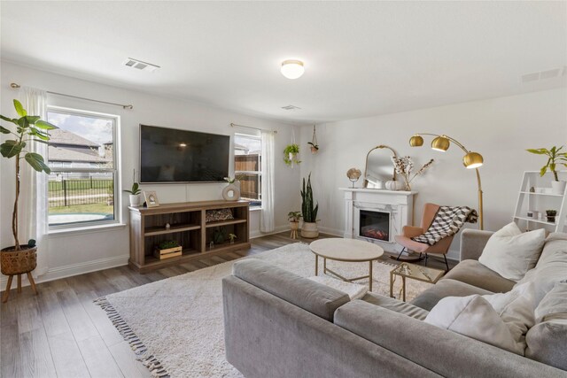 living room featuring dark wood-type flooring