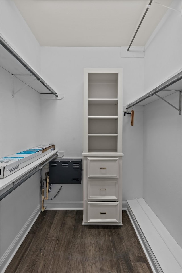 spacious closet featuring dark hardwood / wood-style floors