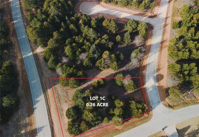 Listing photo 3 for LOT1C Rock Creek Blvd, Gordonville TX 76245