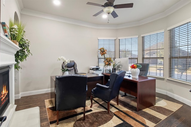 office with ceiling fan, ornamental molding, and dark hardwood / wood-style flooring