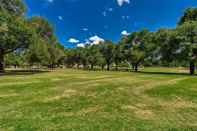 surrounding community featuring a yard