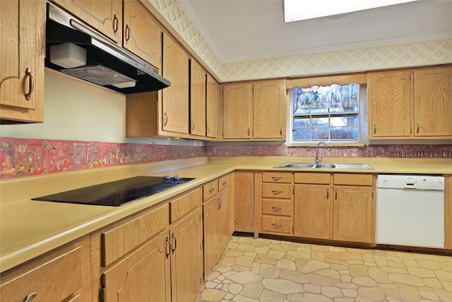 kitchen with sink, white dishwasher, and black electric cooktop