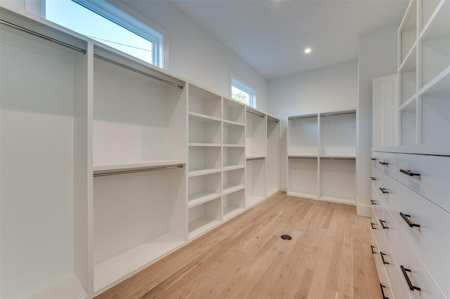 spacious closet with light hardwood / wood-style flooring