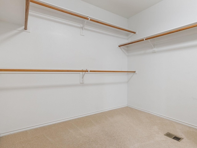 spacious closet featuring carpet flooring