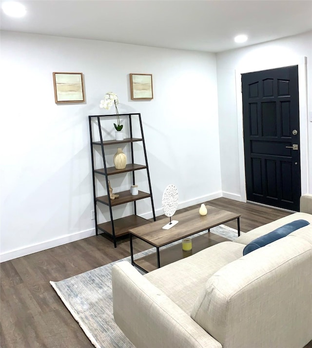 living room with dark wood-type flooring