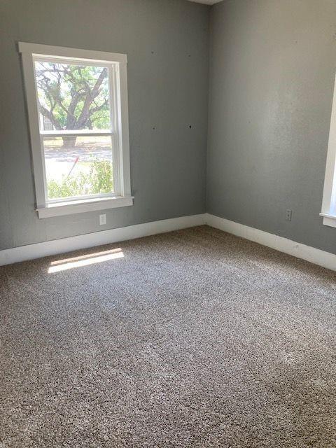 empty room featuring a wealth of natural light and carpet floors