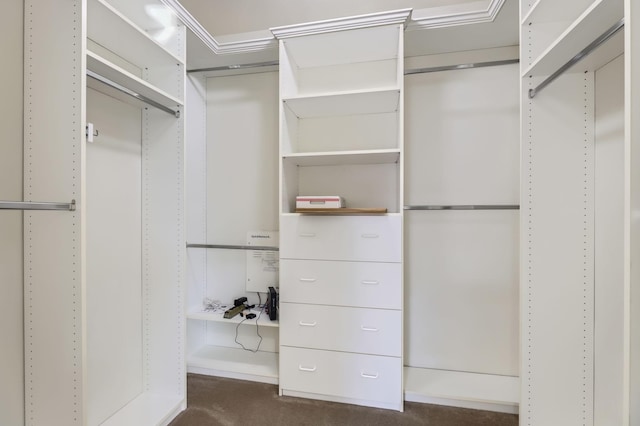 walk in closet with dark colored carpet