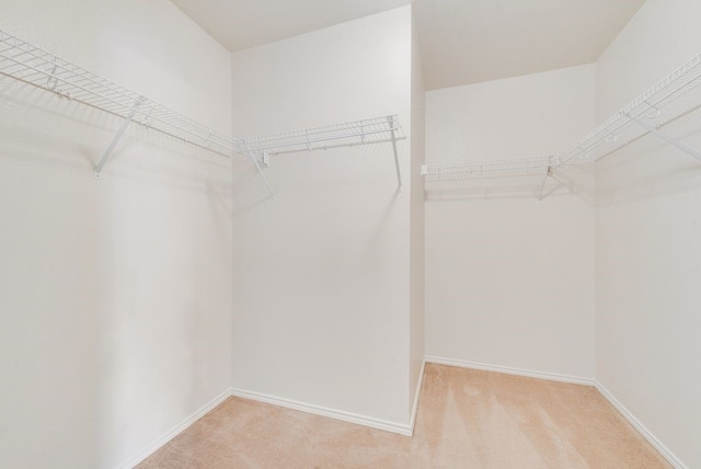 spacious closet with light colored carpet