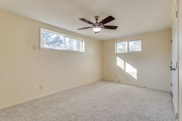 unfurnished room with ceiling fan and carpet floors