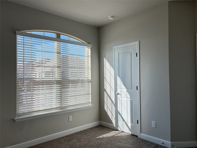 unfurnished room featuring carpet