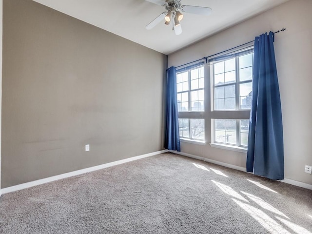 spare room featuring ceiling fan and carpet floors