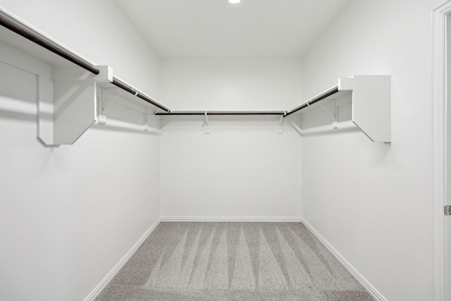 spacious closet with carpet floors