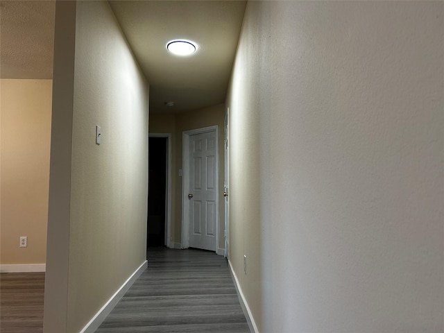 hallway featuring dark hardwood / wood-style flooring