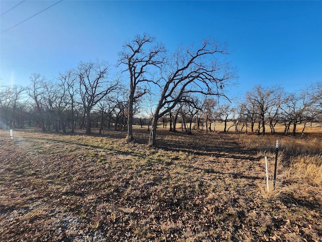 Listing photo 3 for 129 Diamond Oaks Dr, Nocona TX 76255