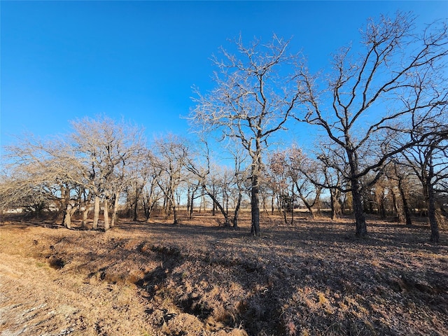 Listing photo 3 for 126 Diamond Oaks Dr, Nocona TX 76255