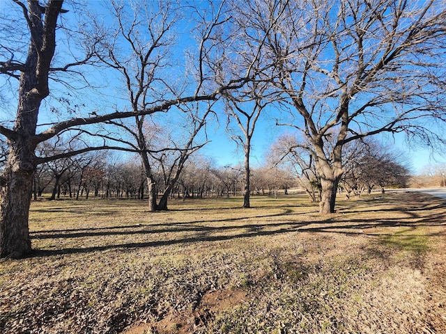 100 Fairway Dr, Nocona TX, 76255 land for sale