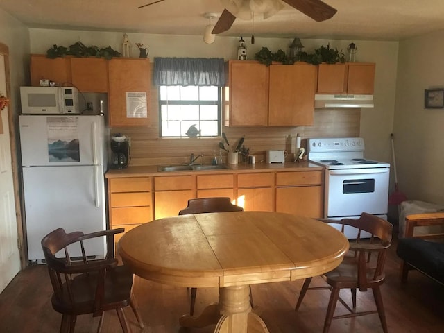 kitchen with ceiling fan, backsplash, sink, white appliances, and hardwood / wood-style flooring