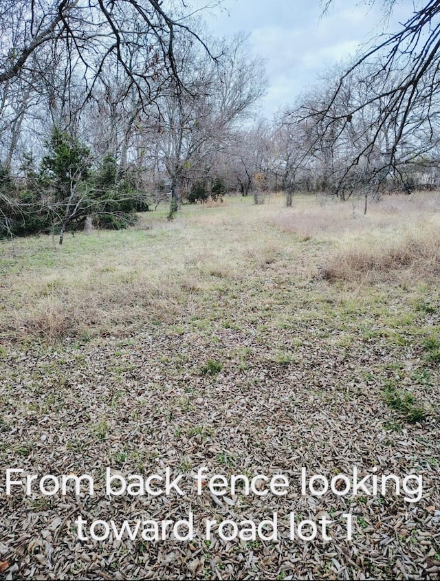 view of yard with a rural view