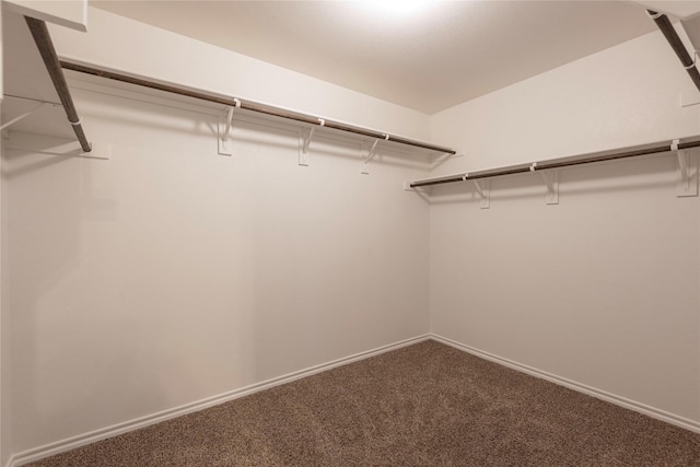 spacious closet with carpet