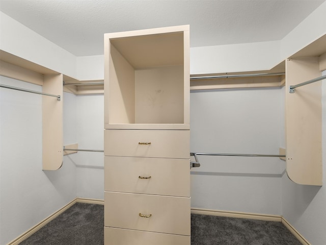 walk in closet with dark carpet