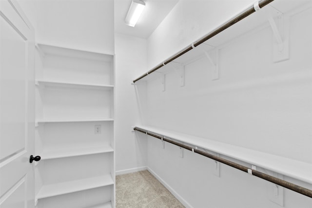 spacious closet featuring light colored carpet