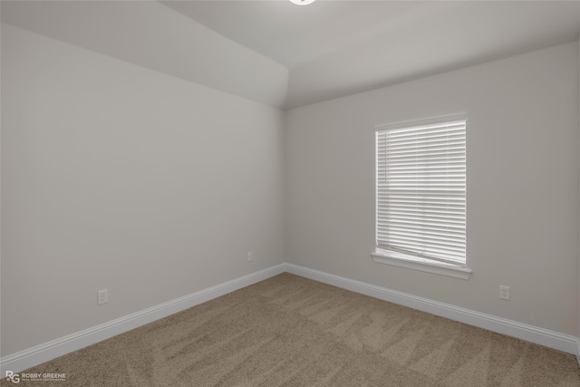 spare room with a wealth of natural light and carpet flooring