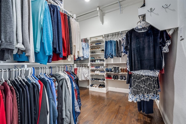 spacious closet with wood-type flooring