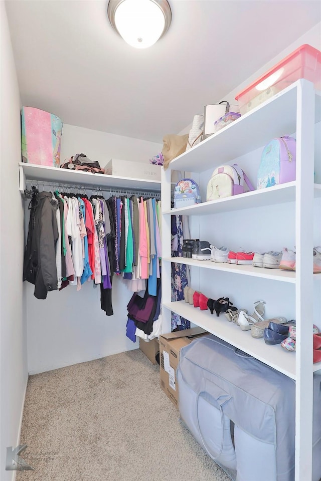 spacious closet with carpet floors