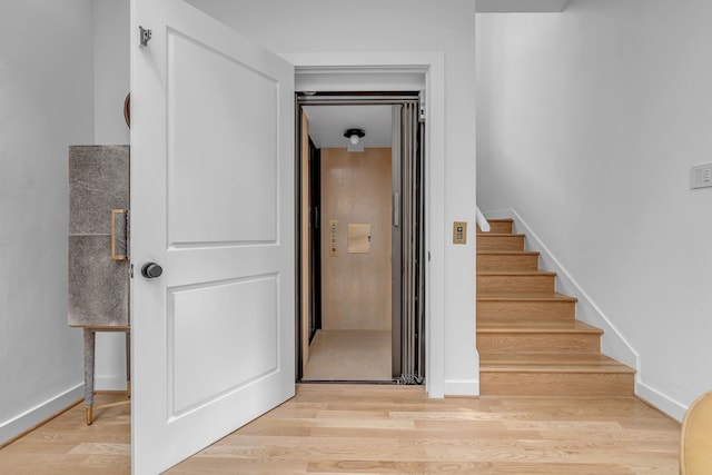 stairway with hardwood / wood-style floors