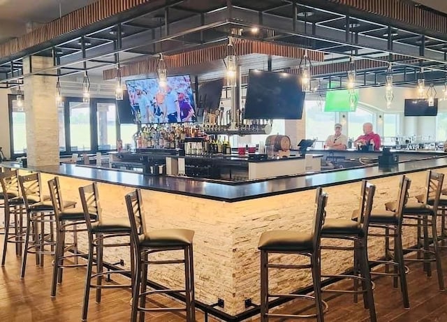 bar featuring a healthy amount of sunlight and hardwood / wood-style flooring