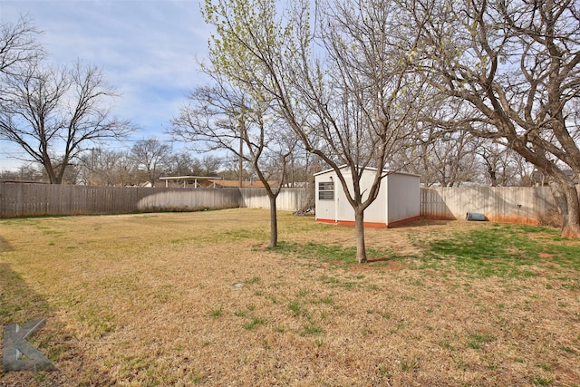 view of yard featuring a storage unit