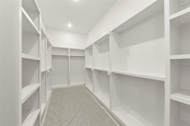 view of walk in closet