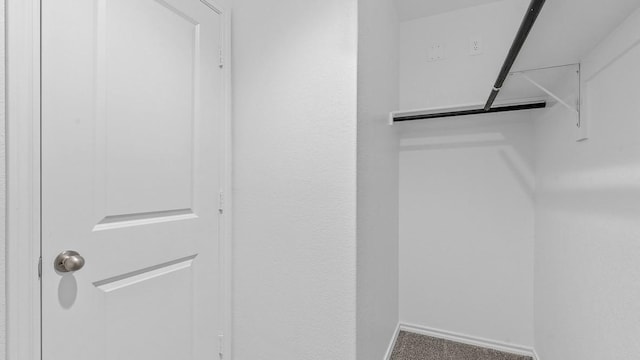 spacious closet featuring carpet