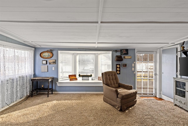 sitting room with carpet floors and vaulted ceiling