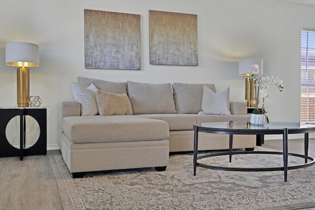 living room featuring hardwood / wood-style floors